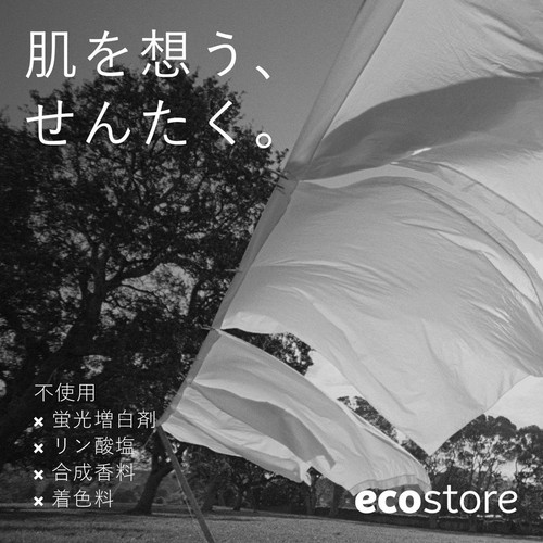 エコストアジャパン エコストア ランドリーリキッド 無香料 500mL