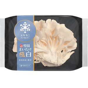 新潟県産 雪国まいたけ極白 食べきりパック 70g Green Beans