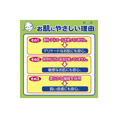 白十字 サルバ お肌にやさしいぬれタオル 60枚入 2個パック Green