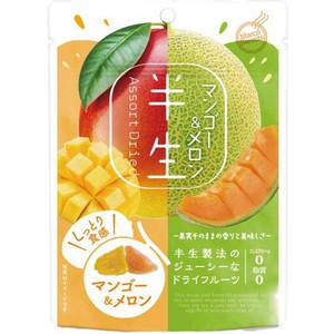 ドウシシャ 半生フルーツ マンゴー&メロン 65g Green Beans | グリーン