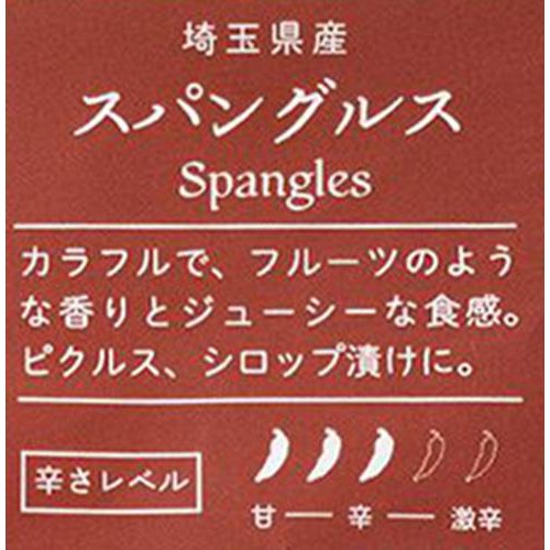 埼玉県産 十色 とうがらし (スパングルス) 50g 1袋