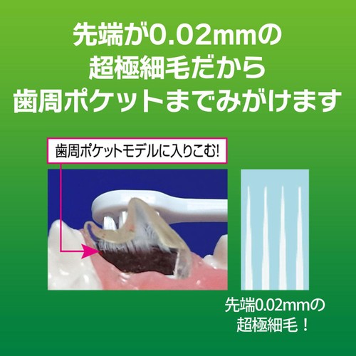 【ペット用】 ライオン PETKISS デンタルブラシ コンパクト 1本
