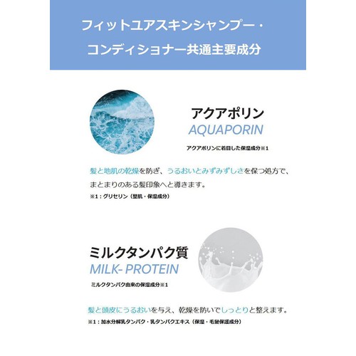 FIT YOUR SKIN サントゥッシャンプー 500ml Green Beans | グリーン