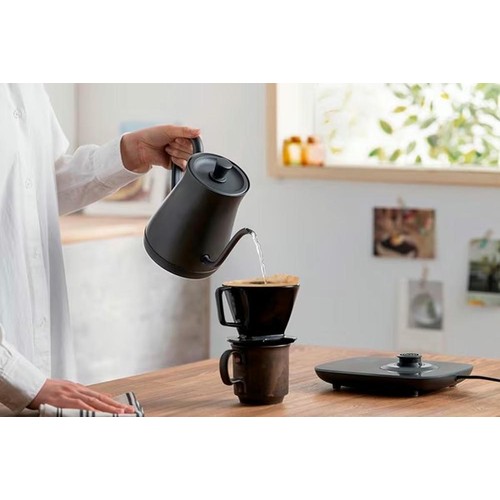 アイリスオーヤマ 電気ケトル 温度調節機能付 0.6L アッシュ