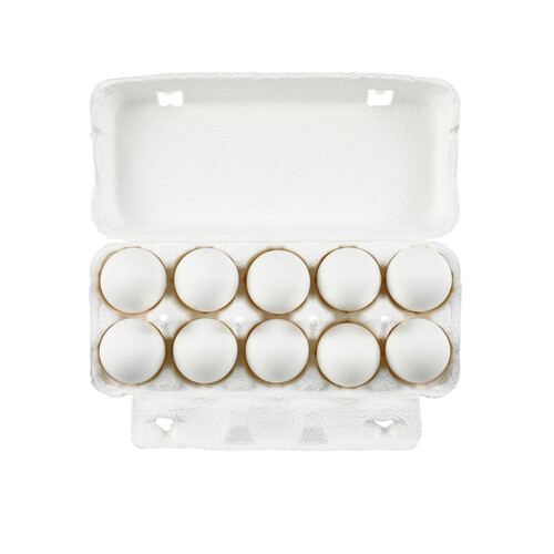 伊藤忠飼料 奥州いわて発 味付ゆでたまご 10個入 Green Beans