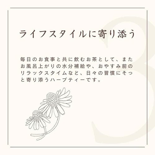 生活の木 私の30日茶 蒼のメグスリノキブレンド 7個入