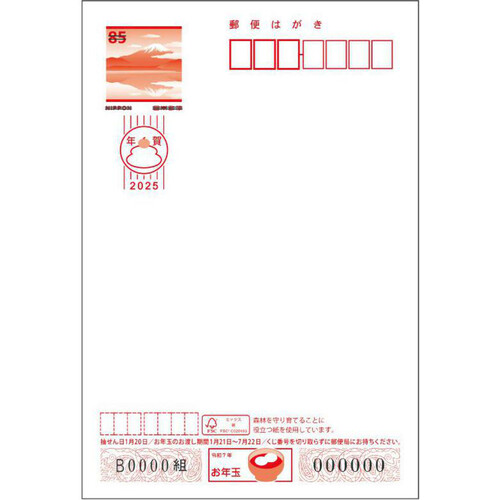 年賀はがき5枚入り お年玉付き年賀状パック 令和7年巳年 特選フルカラー FPー08
