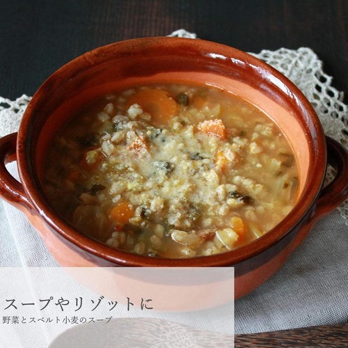 アルチェネロ 有機野菜ブイヨン・パウダータイプ 120g