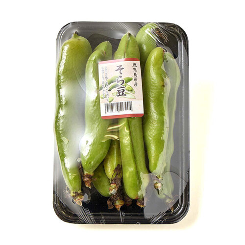 鹿児島県産 そらまめ 300g Green Beans | グリーンビーンズ by AEON
