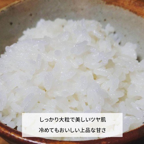 【たわわ/あう農園】 愛媛県産 プレミアムクオリティ ひめの凜 5kg