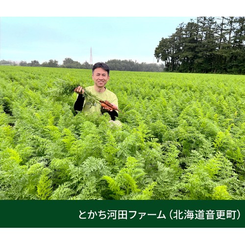 [鮮度+]【有機】北海道産 にんじん(アロマレッド) (転換期間中) 400g(2-4本)