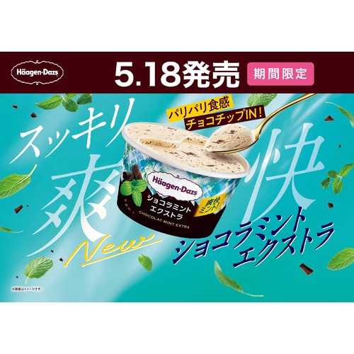 ハーゲンダッツ ミニカップ ショコラミントエクストラ 110ml