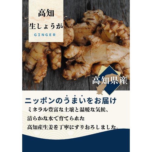 マル井 高知生しょうが 30g