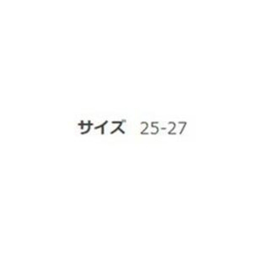 グンゼ アクティブスタイル 紳士アーチサポート付きスニーカーソックス 25-27 ブラック