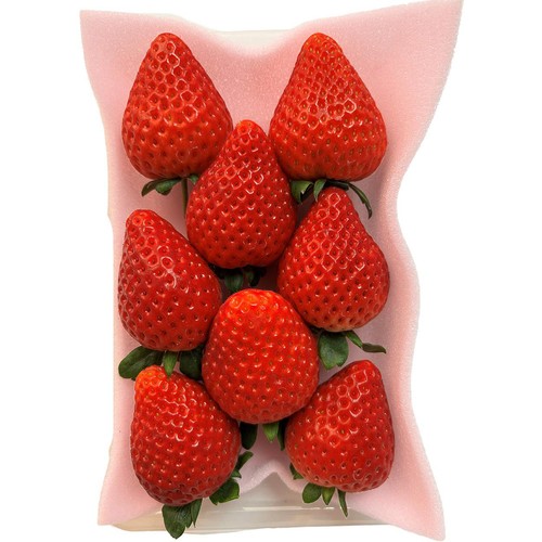 栃木県産ファーム大越 宇南プレミアムいちご(とちあいか) 280g Green