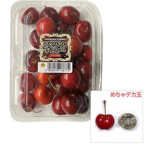 アメリカ産 アメリカンチェリー めちゃデカ 300g
