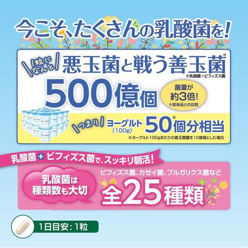伊藤忠食品 朝のフローラ乳酸菌 EX500 31粒