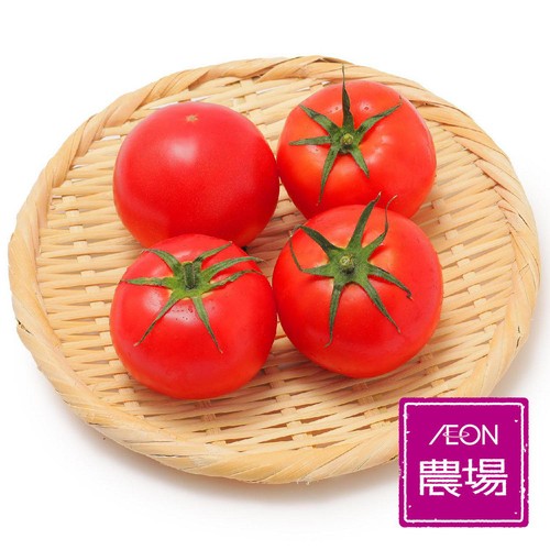 埼玉県産イオン農場 まるまる赤トマト極 450g 4個 1パック