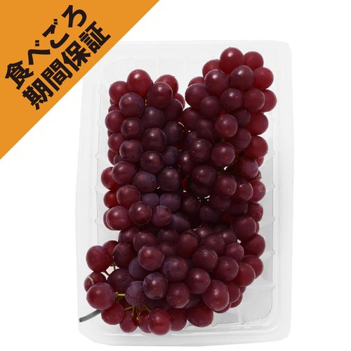 ［食べごろ+］山梨県笛吹市産 小倉さんたちのぶどう(デラウェア) 300g