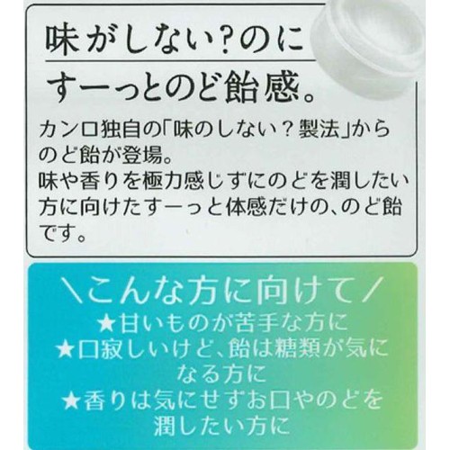 カンロ ノンシュガー 味のしない？のど飴 35g Green Beans | グリーン