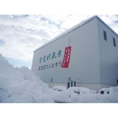 カワサキ森田屋 新潟県 魚沼産コシヒカリ 特別栽培米雪室貯蔵米 5kg