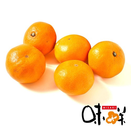 熊本県産 味咲のみかん（金峰・青島） 550g 5-6個 L-Mサイズ 1パック