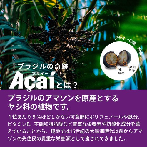フルッタフルッタ アサイーエナジー 720g