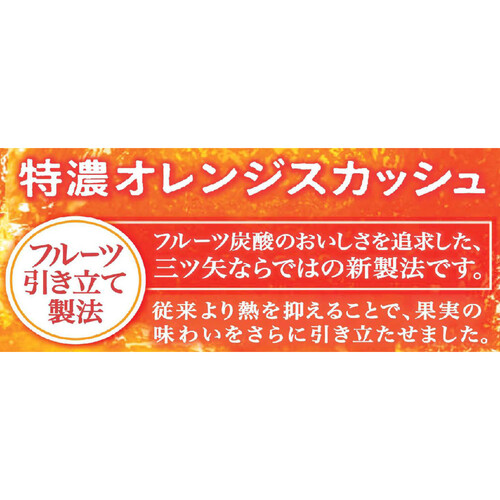 アサヒ飲料 三ツ矢特濃オレンジスカッシュ 500ml Green Beans