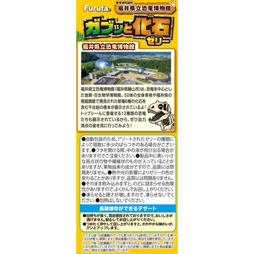 フルタ製菓 ガブッと化石ゼリー 15g x 14個