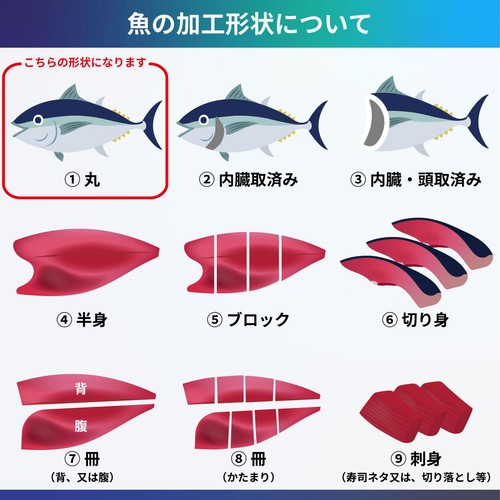 【冷蔵】日洋物産 国産 さんま塩焼き 2尾 165g