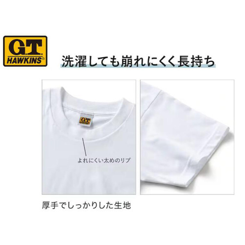 グンゼ 紳士 G.T.HAWKINS 2枚組ベーシックTシャツ M ブラック