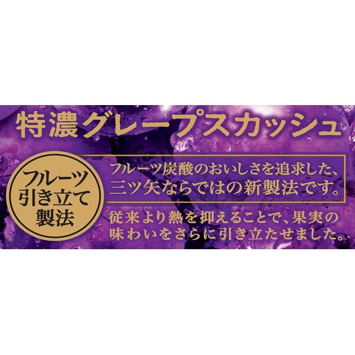 アサヒ飲料 三ツ矢特濃グレープスカッシュ 500ml X 24 Green Beans