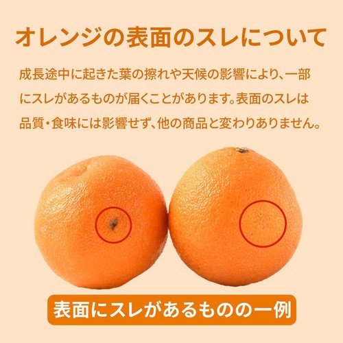値下げしました【オーストラリア産】オレンジディスク　大 オーストラリア産 甘さギュッとオレンジ 1パック トップバリュ Green