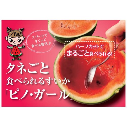[食べごろ+] 国内産 タネごと食べられるすいかピノ・ガール ハーフカット