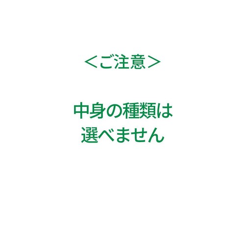 バンダイ キャラパキ 発掘恐竜チョコ 大袋 90g