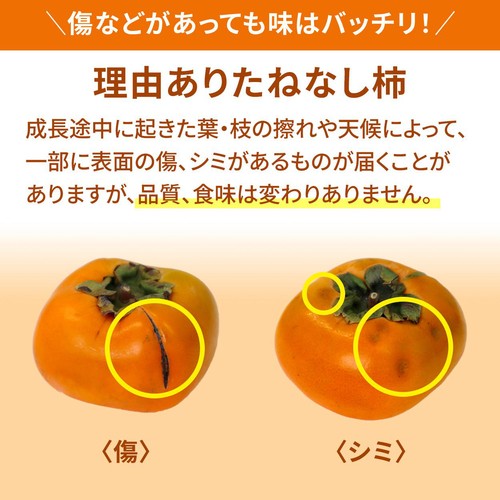 [食べごろ+] 和歌山県 果肉しっかり理由あり たねなし柿 (かき音ちゃんシール付き) (かため)  1.5Kg