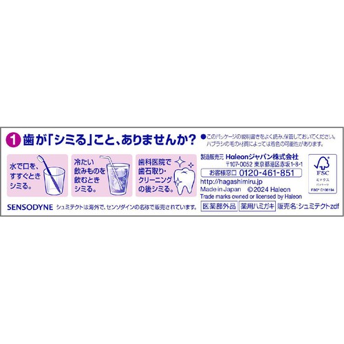 シュミテクト 歯周病ケア 22g