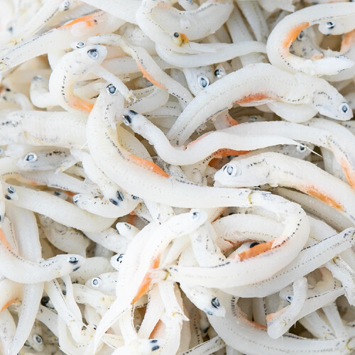 冷凍】森水産 愛媛産 釜あげ姫様しらす 25g x 5袋 Green Beans