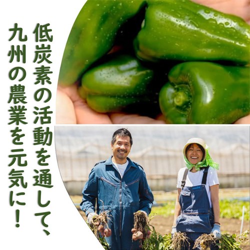 鹿児島県産 ピーマン(九州力作野菜®) 130g トップバリュ 減の恵み