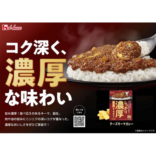 ハウス食品 しっかり濃厚チーズキーマカレー 中辛 1人分 150g