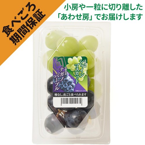 ［食べごろ+］長野県産 たけむらふぁーむのシャインマスカットとナガノパープル 250g