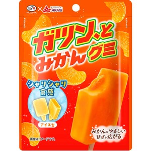 １枚限り⭐️超特別価格！❤みかん❤極上ふわとろっ❤シングルお布団❤くすみグリーン 不二家 ガツン、とみかんグミ 53g Green Beans | グリーンビーンズ by AEON