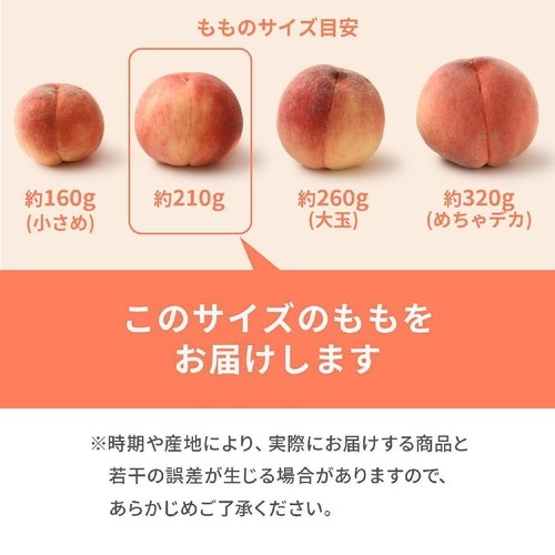 [食べごろ+] 長野県産 もも(あかつき) 3個入 630g