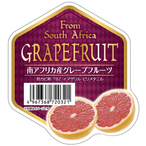南アフリカ産 グレープフルーツ ルビー 4個入 Green Beans