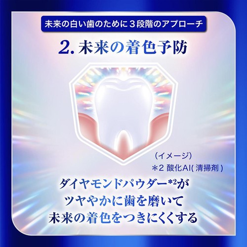 ヘイリオン シュミテクト フューチャーホワイトケア ブライトミント 80g