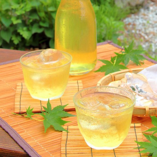 日穀製粉 国内産 韃靼そば茶 6g x 10袋入 Green Beans | グリーン