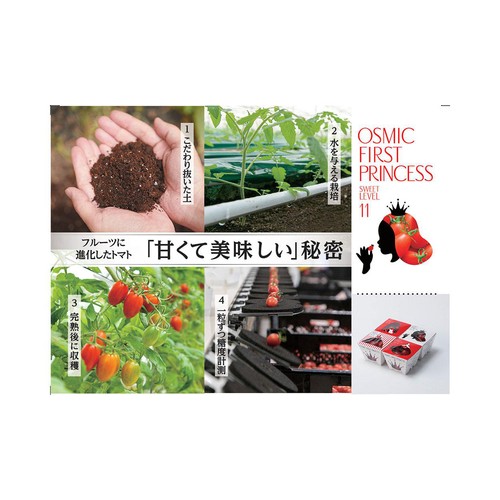千葉県千葉市 OSMIC FIRST PRINCESS 120g 1パック
