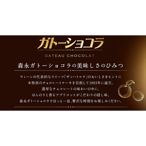 森永製菓 ガトーショコラ 6個入
