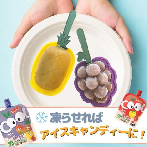 ヴィタビオ クールフルーツ アップル・パッションフルーツ 90g