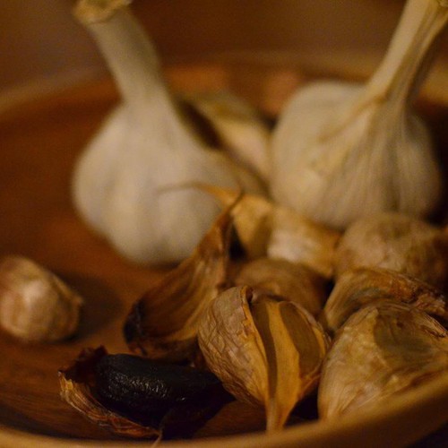 千葉県産　ニンニクの苗　予約注文ページ 千葉県産 ニンニクの苗 予約注文ページ